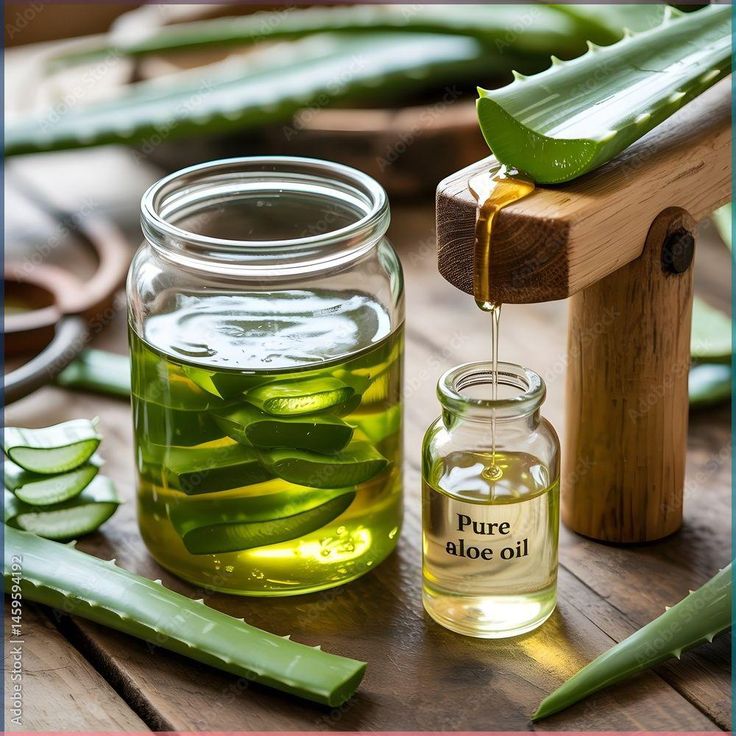 pure aloe oil with fresh aloe vera leaves – natural skincare and wellness remedy stock photo